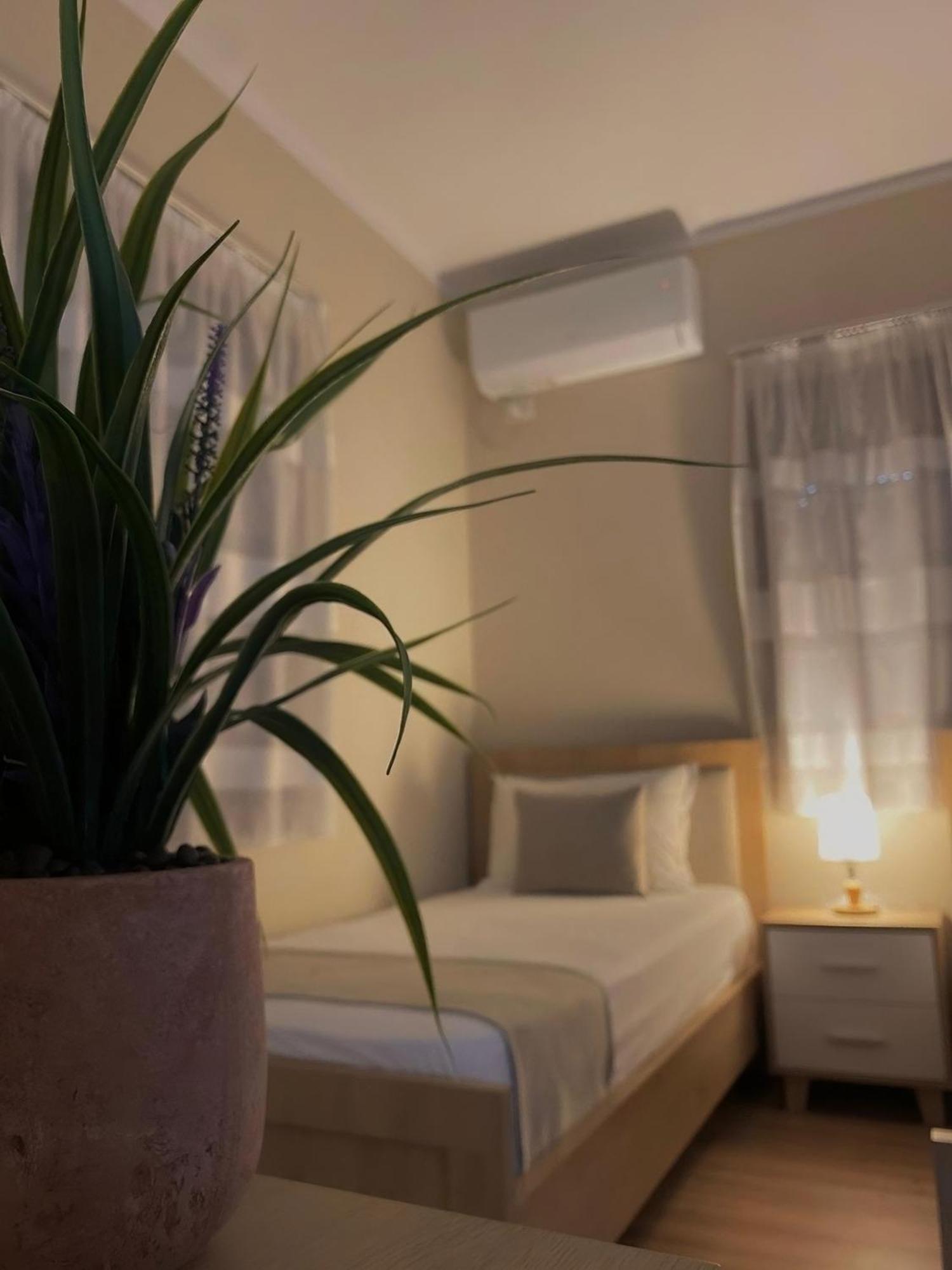 Villa Tabaku Berat Zewnętrze zdjęcie